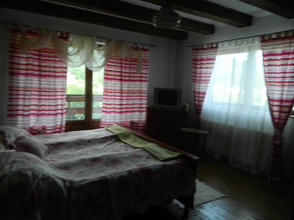 Pensiunea Romantic Sadu Номер фото
