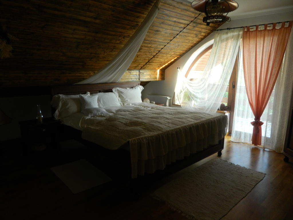 Pensiunea Romantic Sadu Экстерьер фото