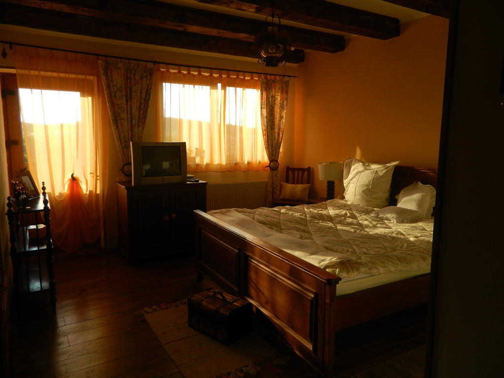 Pensiunea Romantic Sadu Экстерьер фото
